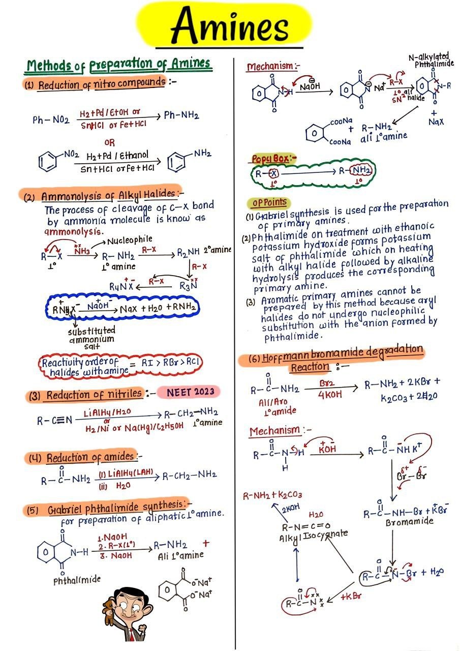 ORGANIC CHEMISTRY CLASS XII - Image 3